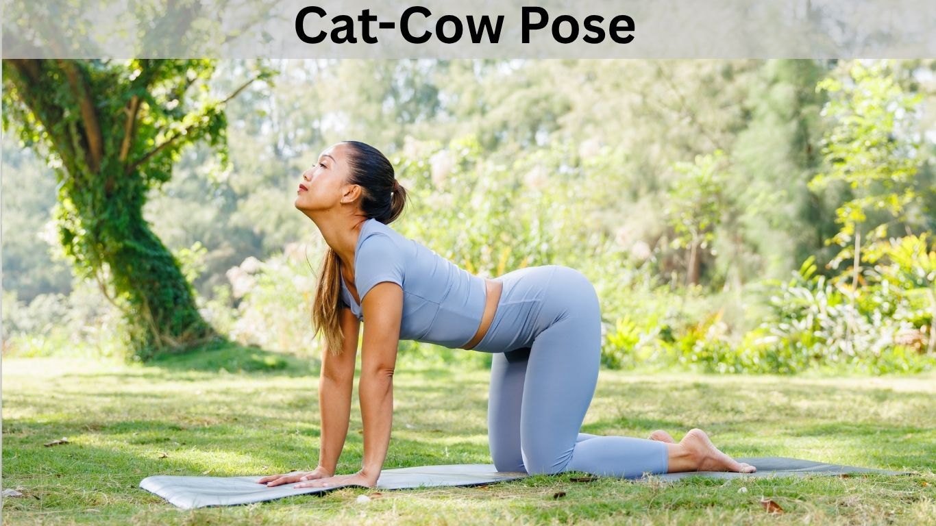 Yoga for Neck Pain Relief