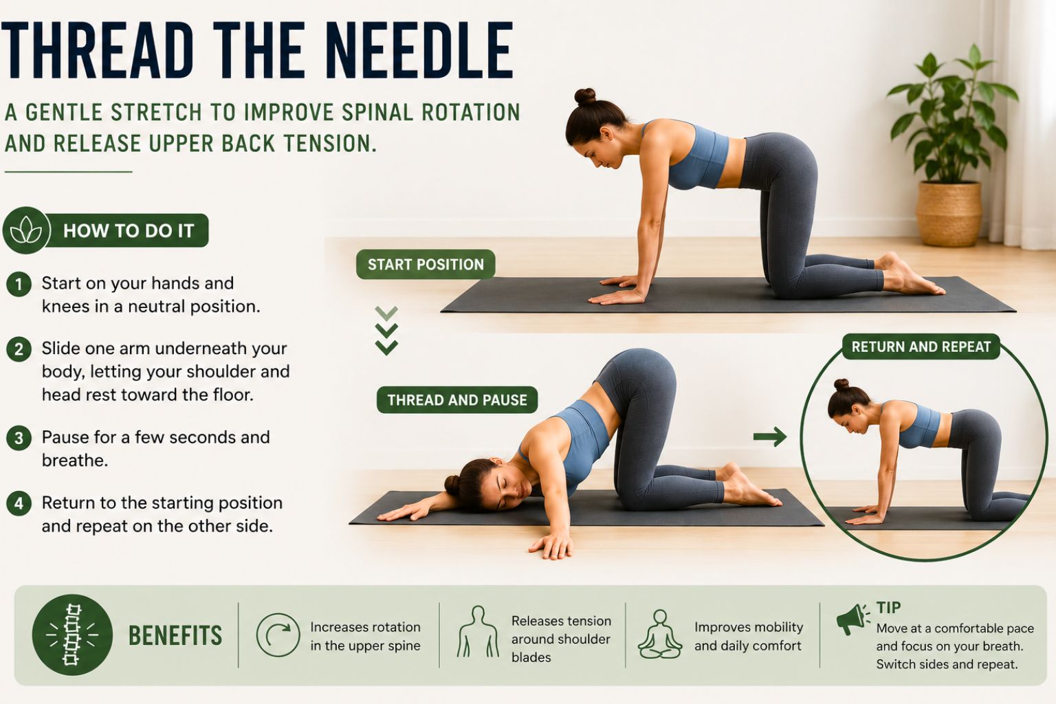 upper spine mobility exercises for better posture