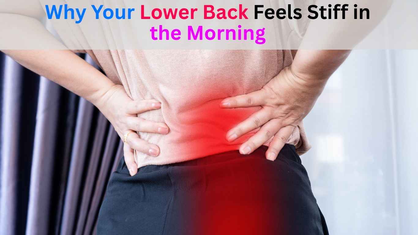 Morning stretches for lower back stiffness