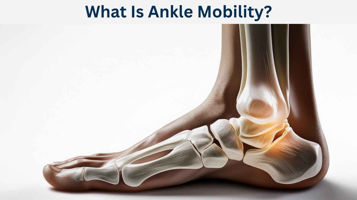 ankle mobility exercises for joint flexibility