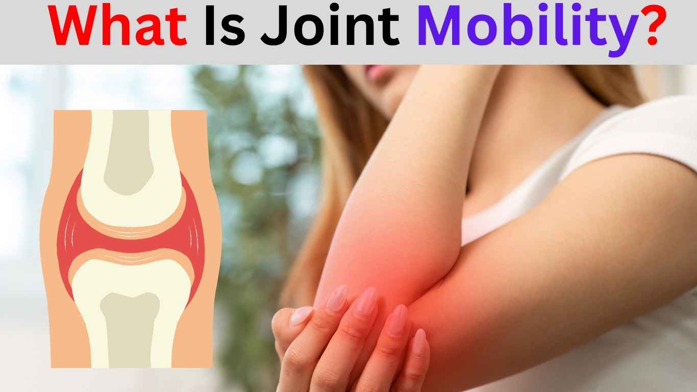joint mobility exercises for healthy movement